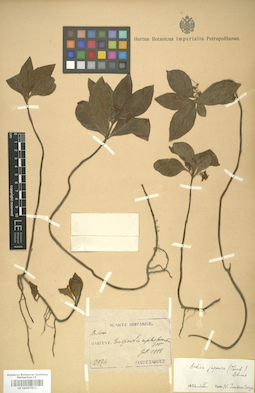 LE 01007811