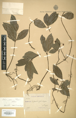 LE 01007812