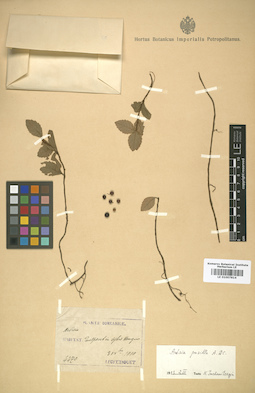 LE 01007814