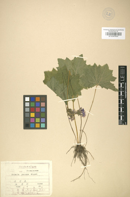 LE 01007820