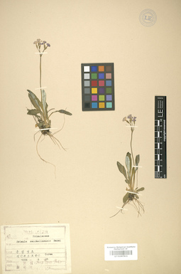 LE 01007821