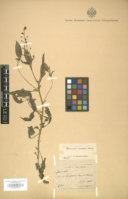 LE 01007836