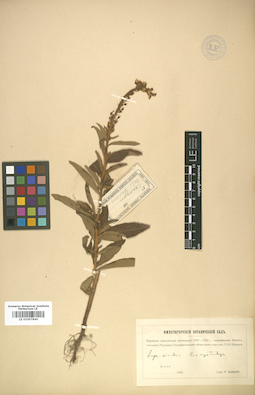 LE 01007840