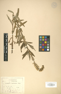 LE 01007842