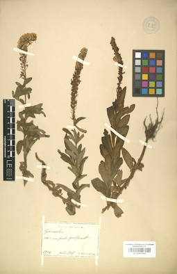 LE 01007843