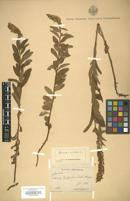 LE 01007844