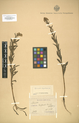 LE 01007845