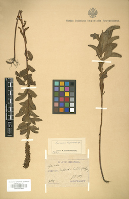 LE 01007846