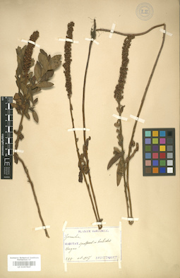 LE 01007847