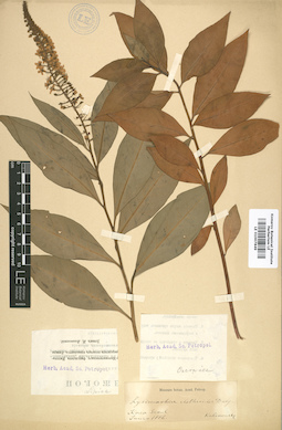 LE 01007849