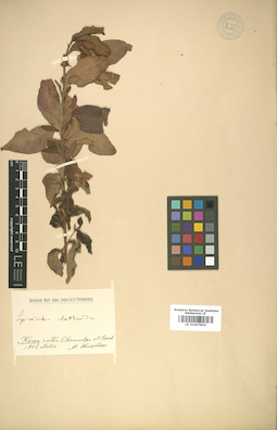 LE 01007854