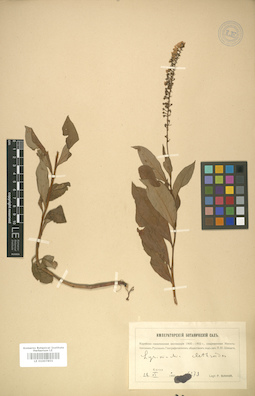 LE 01007855