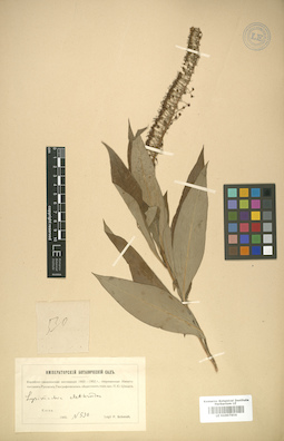LE 01007856