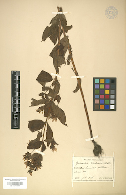 LE 01007857
