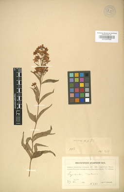 LE 01007858