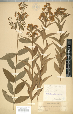 LE 01007859