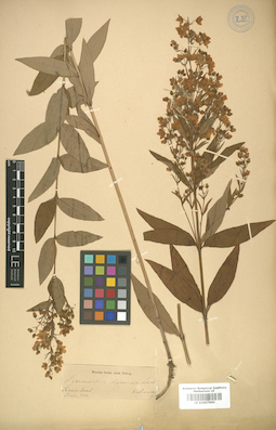 LE 01007860