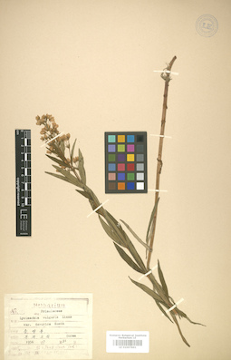 LE 01007861
