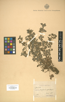 LE 01007864