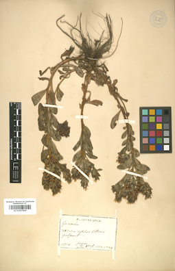 LE 01007865