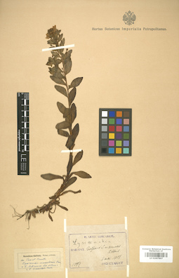 LE 01007867