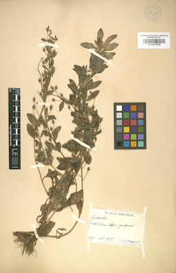 LE 01007868