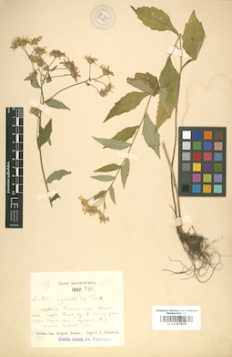 LE 01007875