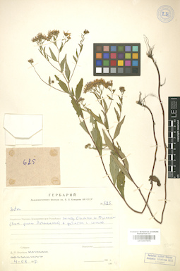 LE 01007876
