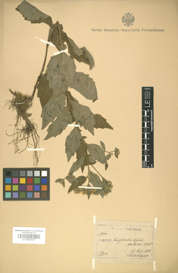 LE 01007877
