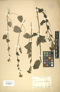 LE 01007879