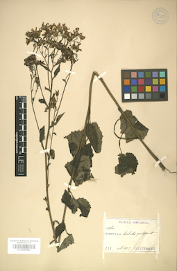 LE 01007881