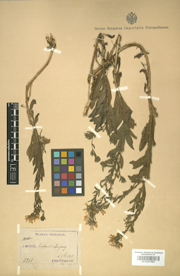 LE 01007885