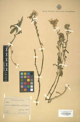 LE 01007886