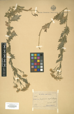 LE 01007887