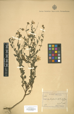 LE 01007888