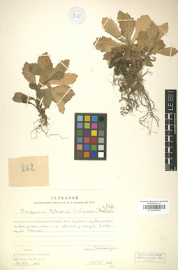 LE 01007902