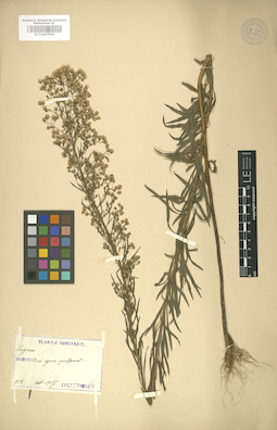 LE 01007903