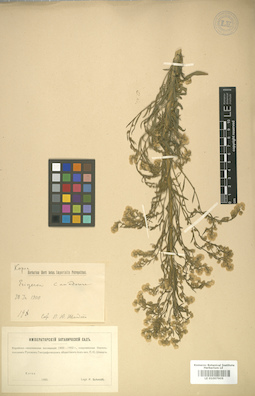 LE 01007905