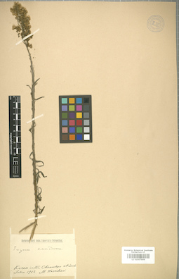 LE 01007906