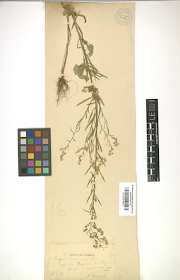 LE 01007907