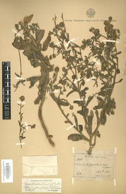 LE 01007908