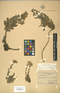 LE 01007909