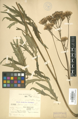 LE 01007941