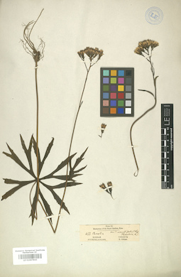 LE 01007943