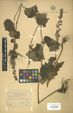 LE 01007947