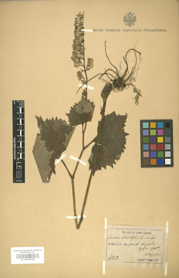 LE 01007948