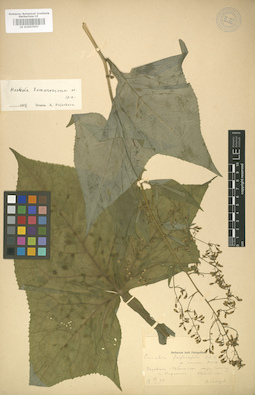 LE 01007957