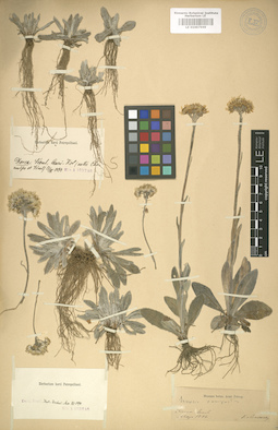 LE 01007969