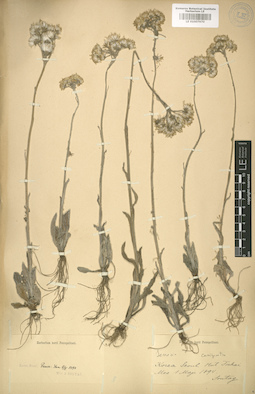 LE 01007970