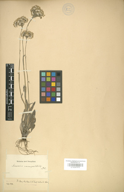 LE 01007971